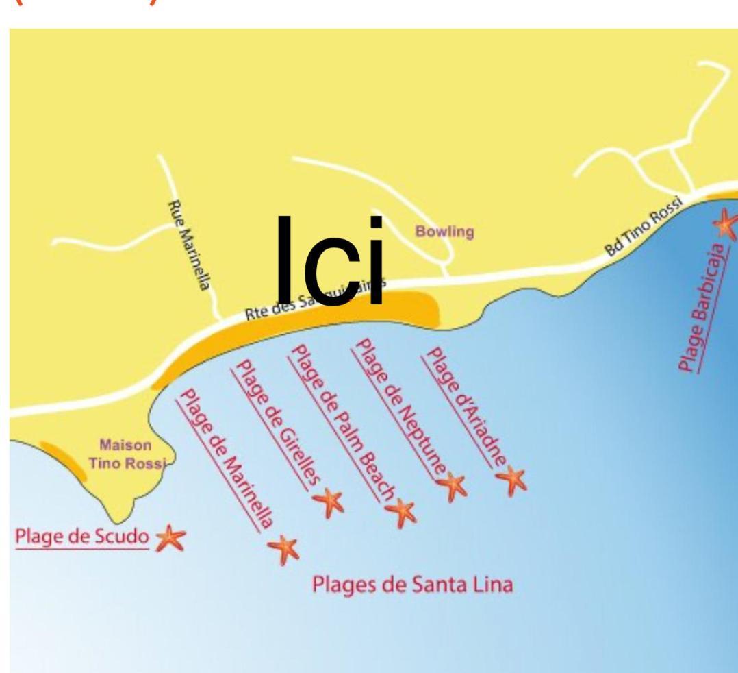 Superbe Pieds Dans L Eau Ajaccio Face A La Mer Plage De Sable Fin Route Des Iles Des Sanguinaires エクステリア 写真